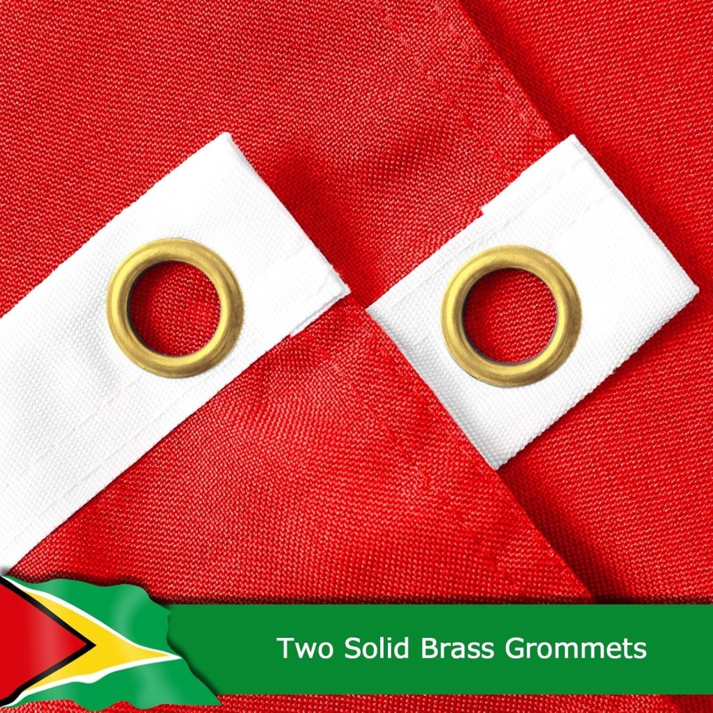 Guyana Guyanese Flag for Outside, 400D Heavy Duty Polyester, Double - Sided Printing, Quadruple Stitched Fly Hem, Fade Resistant, 2 Brass Grommets