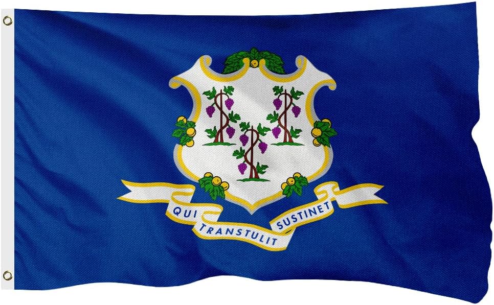 Connecticut State Flag for Outside, 400D Heavy Duty Polyester, Double-Sided Printing, Quadruple Stitched Fly Hem, Fade Resistant, 2 Brass Grommets