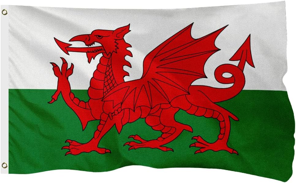 Wales Welsh Flag for Outside, 400D Heavy Duty Polyester, Double-Sided Printing, Quadruple Stitched Fly Hem, Fade Resistant, 2 Brass Grommets