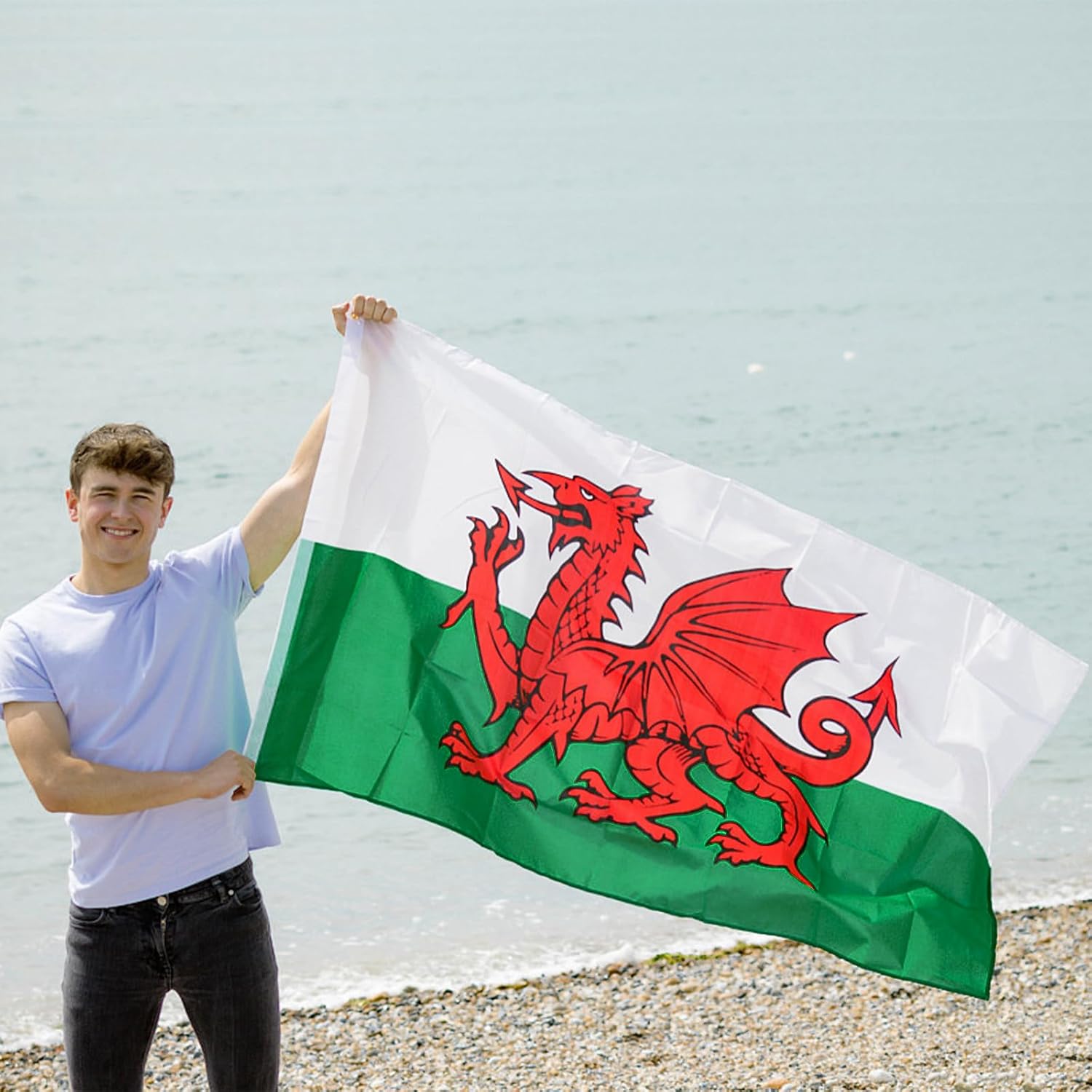 Wales Welsh Flag for Outside, 400D Heavy Duty Polyester, Double-Sided Printing, Quadruple Stitched Fly Hem, Fade Resistant, 2 Brass Grommets