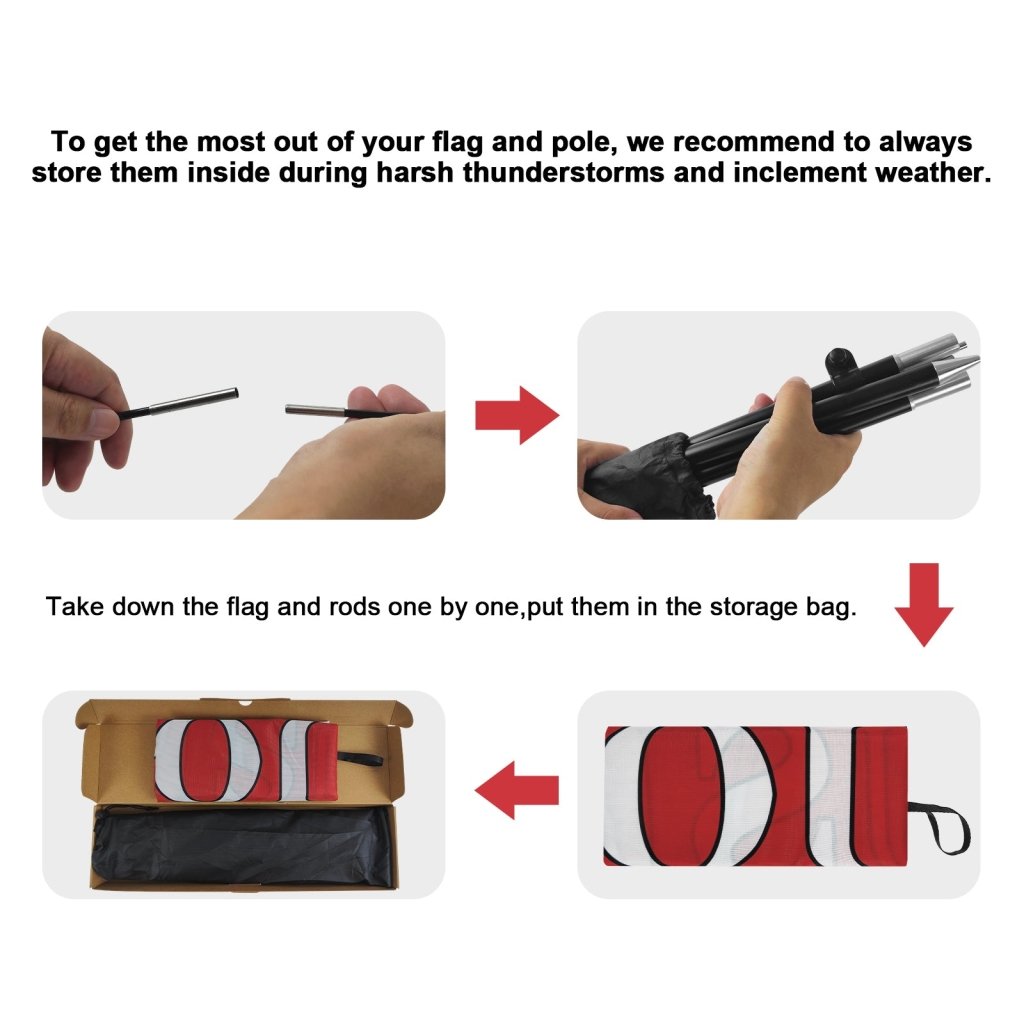 8Ft Carne Asada Feather Flag Pole Kit